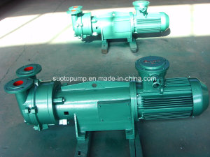 2BV6 110 Liquid Ring Vacuum Pump