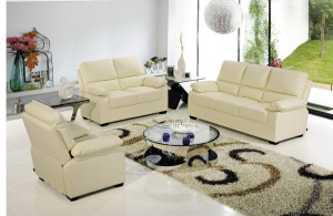 Living Room Genuine Leather Sofa (C720)