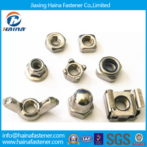 Stock Stainless Steel Square/Weld/Wing/Flange/Cap/Cage/Nylon Lock Nut (DIN315 DIN928 DIN929 DIN1587