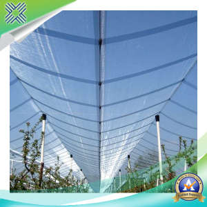 Agriculture Anti-Bird Netting