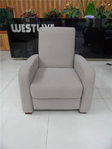 Living Room Genuine Leather Sofa (C461)